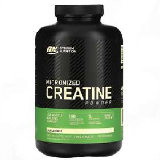 Optimum Nutrition Micronized Creatine Powder